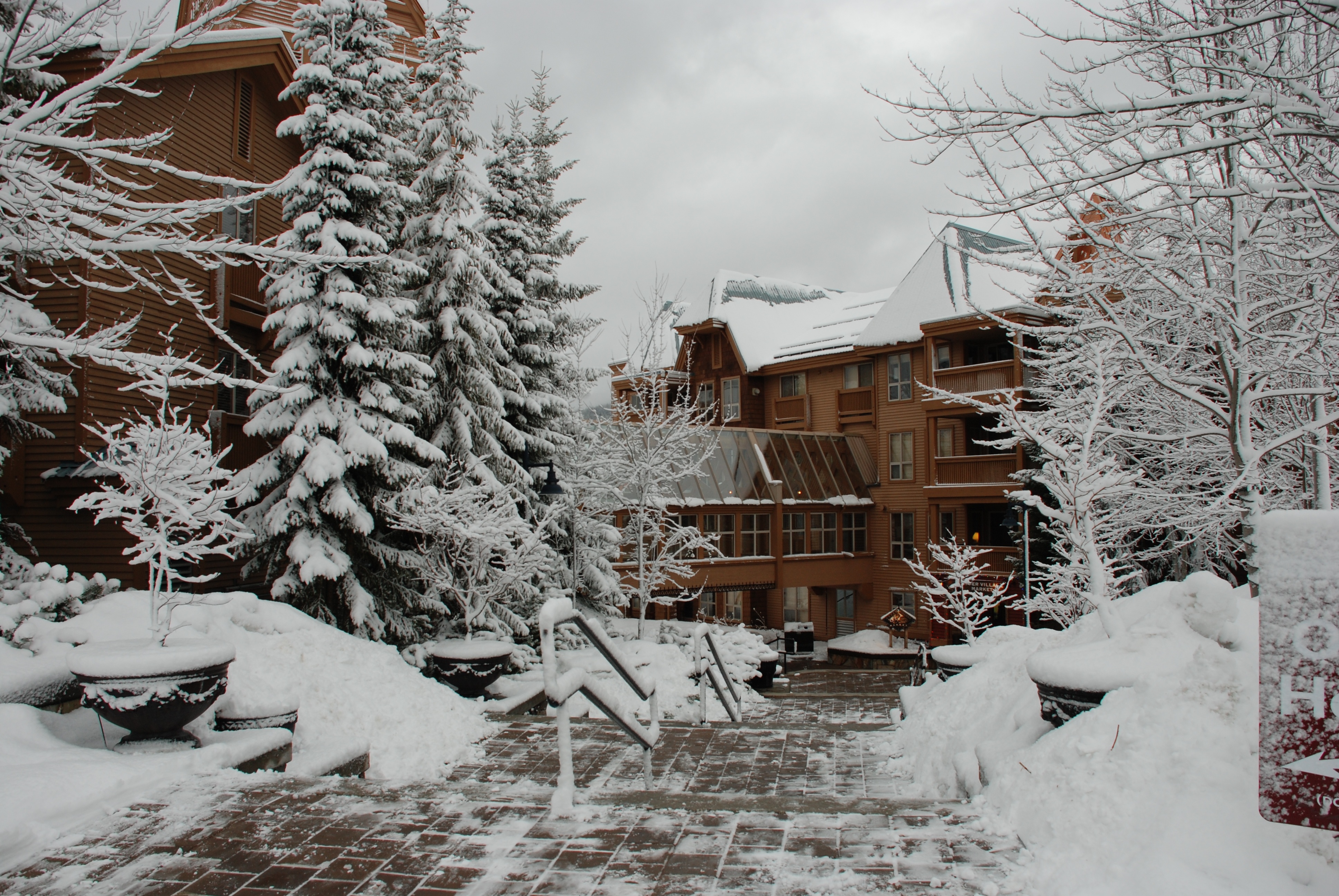 2009-03-WHISTLER WITH MUSSATTOS 23.jpg